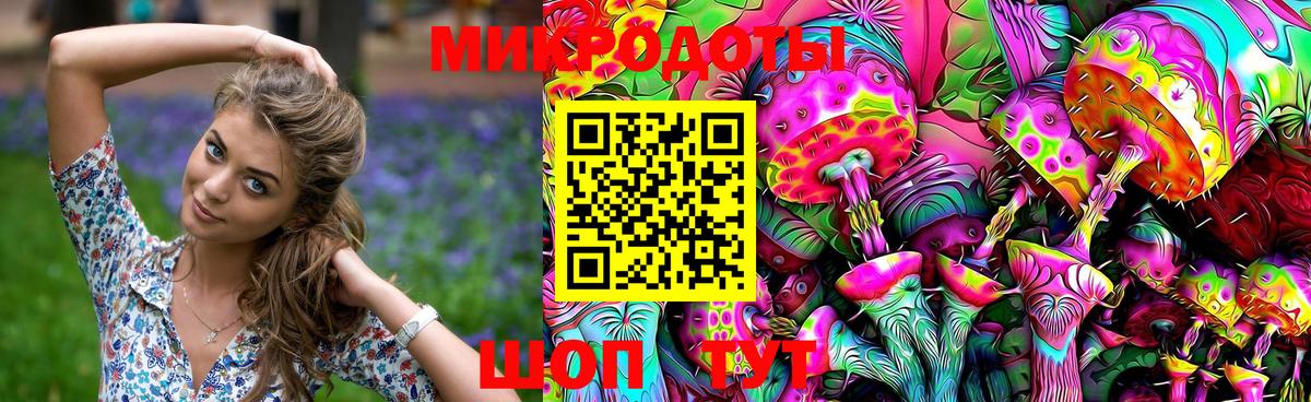 Псилоцибиновые грибы GOLDEN TEACHER  Вход с VPN  Псилоцибиновые грибы MAGIC MUSHROOMS  Мурино 