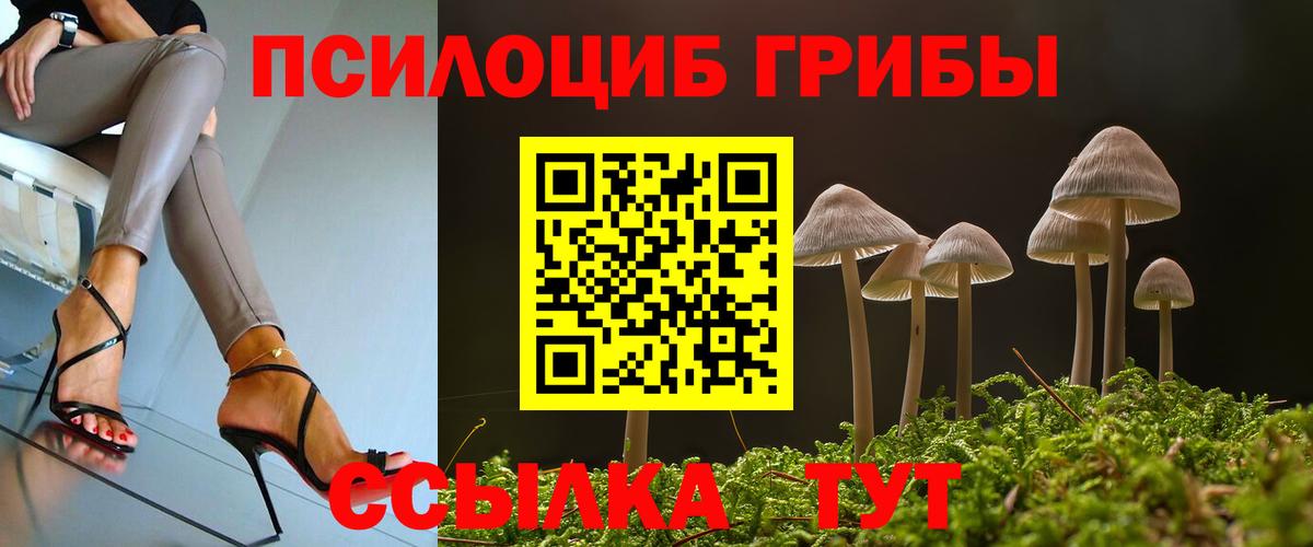 Галлюциногенные грибы Magic Shrooms Мурино
